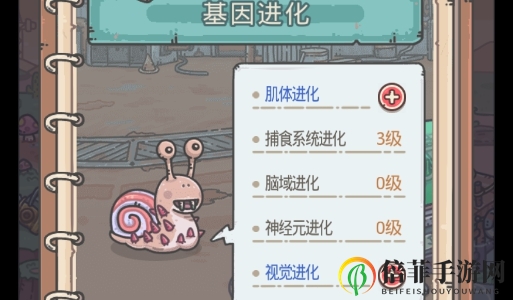 最強蝸牛貴重物品攻略大全 貴重物品獲取及五圍提升方法匯總
