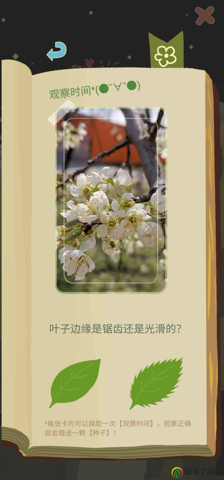 老農(nóng)種樹新手攻略 新人如何快速上手