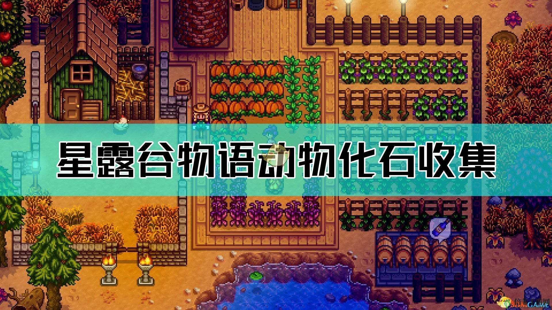 《星露谷物語》探秘動物化石搜集技巧解析